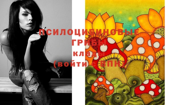 прущая мука Белокуриха